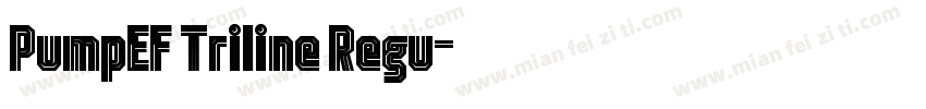 PumpEF Triline Regu字体转换